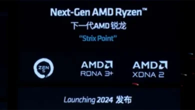 Strix Point Amd